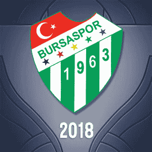 Biểu Tượng 2018 TCL Bursaspor Esports