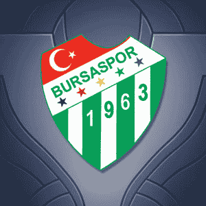 TCL Bursaspor Esports